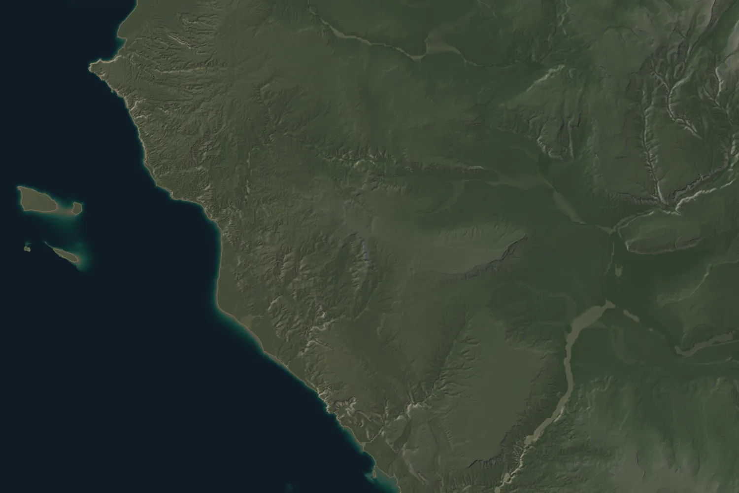 Green coastal plain with offshore islets and branching drainage